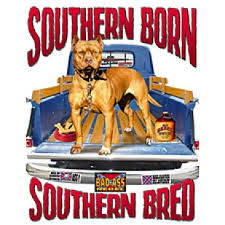 Southern Born / Southern Bred - T-shirt