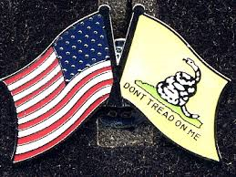 American Flag / Don't Tread on Me Pin