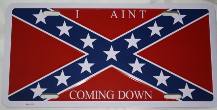 I Ain't Coming Down - License Plate